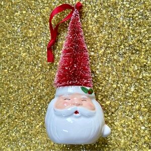 😻 3 for $13 Santa Ornament